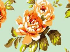 屬兔女婚姻屬相配對 屬兔女的婚配最佳配對