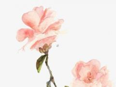 算命兩個人八字特別合什么意思 兩個人八字很合