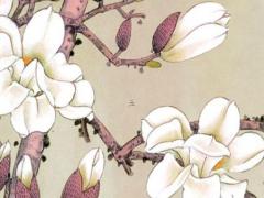 男屬馬女屬龍婚姻相配嗎 屬龍男和屬馬女婚姻相配嗎