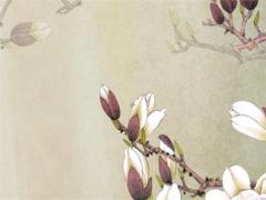 女孩生辰八字缺土叫什么好 女孩命里缺土