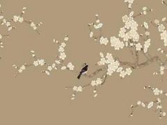 什么八字越長越漂亮 什么八字的女人越長越美