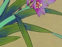 麥玲玲2023屬馬人運程,麥玲玲2023年屬馬