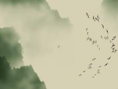 手機計步器哪款最準確 手機好用的計步