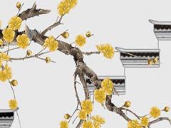 姓名測生男生女 姓名測生男生女表