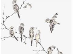 2020年屬鼠的董姓女寶寶起名大全 姓董屬鼠的女孩名字