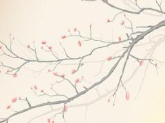 八字忌木水是什么意思 八字忌木怎么辦