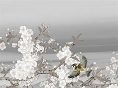 1983屬豬的7月24生日,1983年屬豬的7月29的命運(yùn)