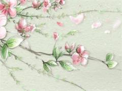 什么八字不會有太大成就 有沒有八字不好的成功人士