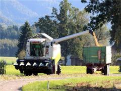 夢見童子破關 夢到童子軍