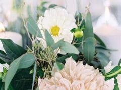 天秤3十二星座最強(qiáng)