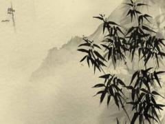 1977屬蛇最佳配偶屬相 1977年屬蛇的最佳配偶