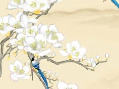 本命年屬兔什么菩薩保佑好,屬兔 本命菩薩