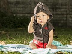 周公解夢夢見欺負大公雞 夢見大公雞攻擊我