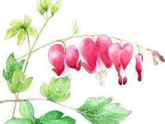 提手旁加個(gè)八字念什么 提手旁加個(gè)八字念什么意思