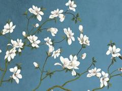 2023年生肖龍犯太歲怎么破解,屬龍太歲2023