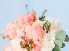 十二星座中最佳男友