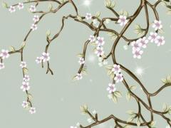 2023年兔本命年躲星忌什么屬相,2023屬兔本命年佩戴什么最好