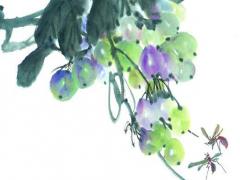 八字指定什么生肖 八字指的是什么意思