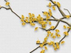 屬豬有六害,屬豬的六和生肖