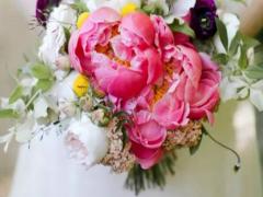 雙解星座的特征