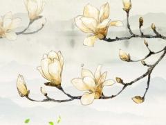 什么八字人顯年輕 什么八字顯年輕不易老