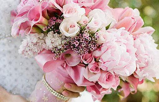 揭秘：白羊座對夢想執(zhí)著的動力是什么？