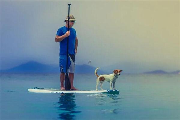 女人面相鴛鴦眼看命運,相學鴛鴦眼 女人面相鴛鴦眼看命運,相學鴛鴦眼