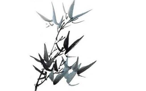 2023年屬蛇的幸運(yùn)色和禁忌色，2023年屬蛇人的命運(yùn)