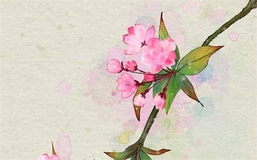 63年屬兔人2023年婚戀,63年屬兔婚姻狀況 63年屬兔人2023年婚戀,63年屬兔婚姻狀況