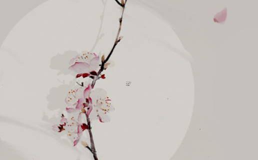 八字頭的還有什么字 八字頭的還有什么字組成