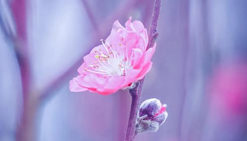 夢見兒子洗澡是什么意思 夢見兒子洗澡是什么意思