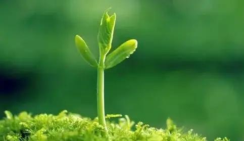 夢見別人算命說自己命好 夢見別人給我算命說我大富大貴 夢見別人算命說自己命好 夢見別人給我算命說我大富大貴