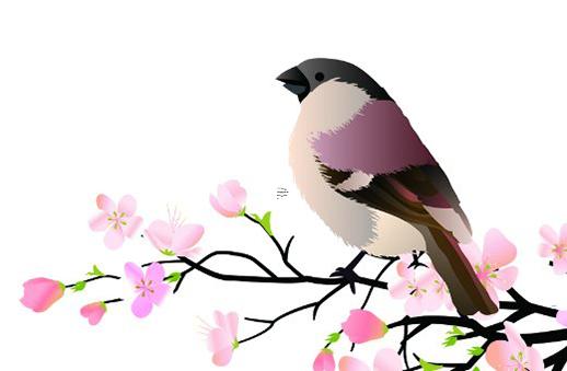 女人什么八字特征能擁有上等婚姻 女人什么樣的八字好 女人什么八字特征能擁有上等婚姻 女人什么樣的八字好