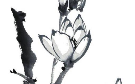 92年屬猴男最佳婚配 95年屬豬女最佳婚配 92年屬猴男最佳婚配 95年屬豬女最佳婚配