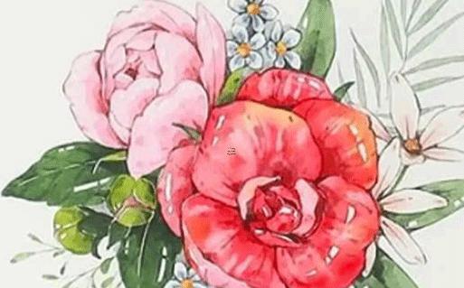 屬虎的出生時辰與屬相命運 屬虎的出生時辰的命運 屬虎的出生時辰與屬相命運 屬虎的出生時辰的命運