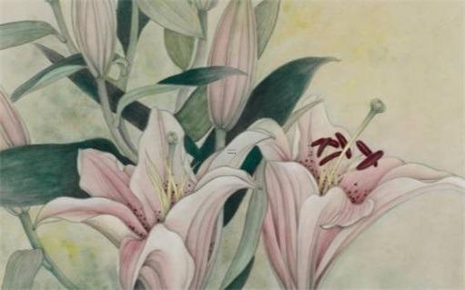 2023年屬兔的取名禁忌 2023年屬兔的取名禁忌