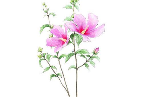 最近財運差怎樣轉運 最近財運極差怎么辦