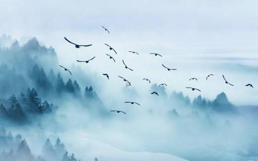 什么生辰八字的女生有氣質 什么八字的女生特別有魅力