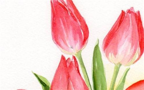 1979屬羊最佳配對 1981屬羊最佳配對屬相 1979屬羊最佳配對 1981屬羊最佳配對屬相