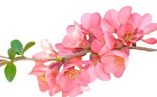 情侶在一起都干什么事情 情侶在一起該干點什么 情侶在一起都干什么事情 情侶在一起該干點什么