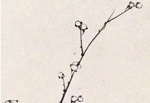 八字庚金強喜歡什么 八字庚金身強 八字庚金強喜歡什么 八字庚金身強