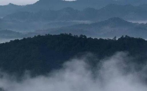 屬兔人一生佩戴吉祥物 幾月出生兔子命最好