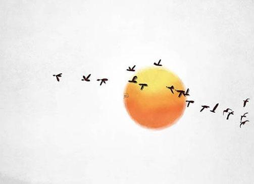 78年屬馬開公司取名 78年馬開公司用什么名字最好