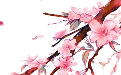 71年屬豬人配77年屬蛇如何，71年屬豬和77年的蛇能結(jié)婚