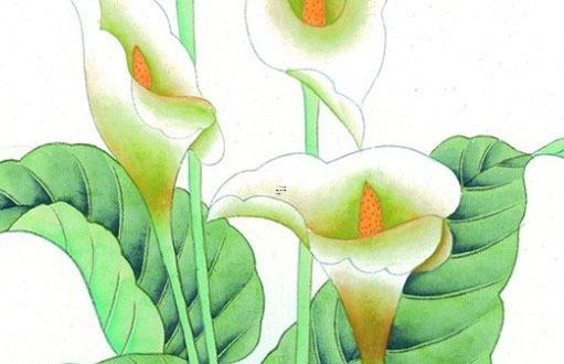 屬蛇生肖婚配表大全,屬蛇婚配屬相一覽表 屬蛇生肖婚配表大全,屬蛇婚配屬相一覽表