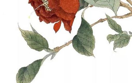 結婚壓八字是什么樣的 結婚壓命錢是怎么回事 結婚壓八字是什么樣的 結婚壓命錢是怎么回事