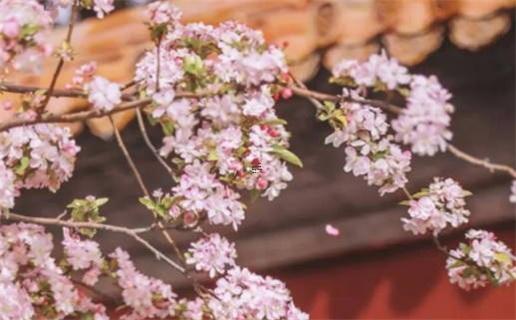 真心話比較狠的問題污一點 真心話比較狠的問題污一點問男生合集60句 真心話比較狠的問題污一點 真心話比較狠的問題污一點問男生合集60句