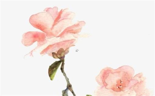 97年屬豬的姻緣,97年屬牛最佳結婚年齡 97年屬豬的姻緣,97年屬牛最佳結婚年齡