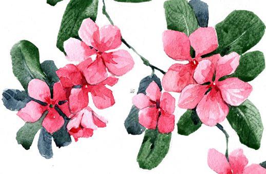 屬羊女和屬羊男合適嗎 屬羊女跟屬羊男合適嗎 屬羊女和屬羊男合適嗎 屬羊女跟屬羊男合適嗎