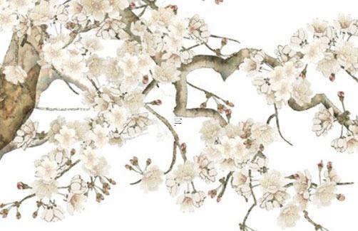 76年屬龍女2023年運勢，76年屬龍女2023年運勢及運程每月運程男